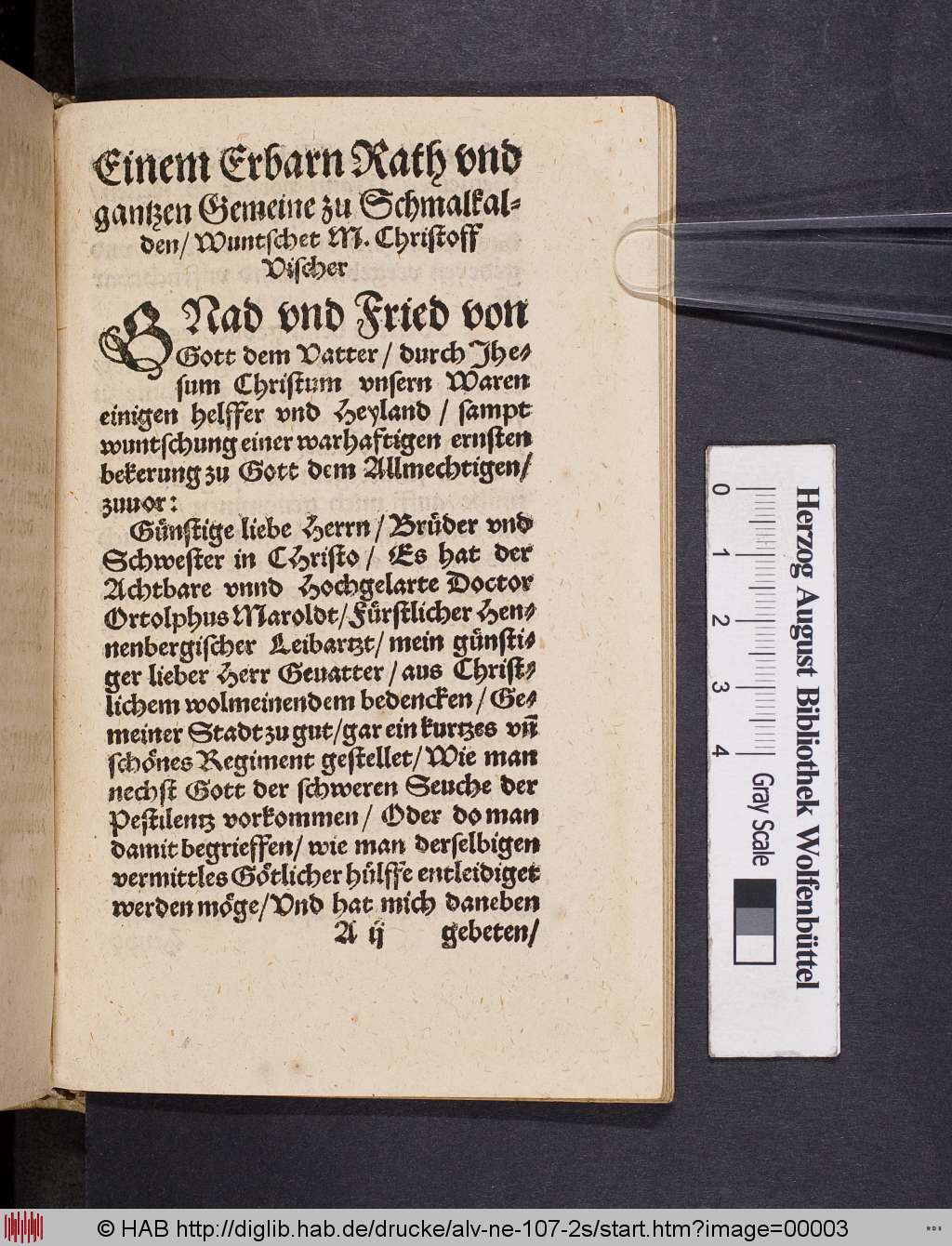 http://diglib.hab.de/drucke/alv-ne-107-2s/00003.jpg