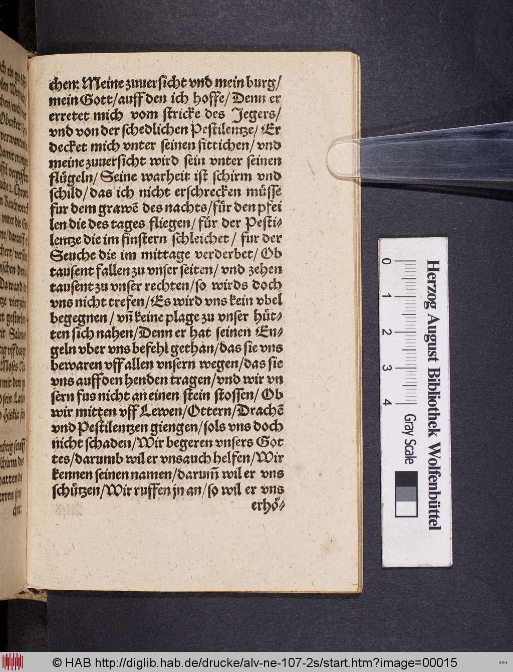 http://diglib.hab.de/drucke/alv-ne-107-2s/00015.jpg