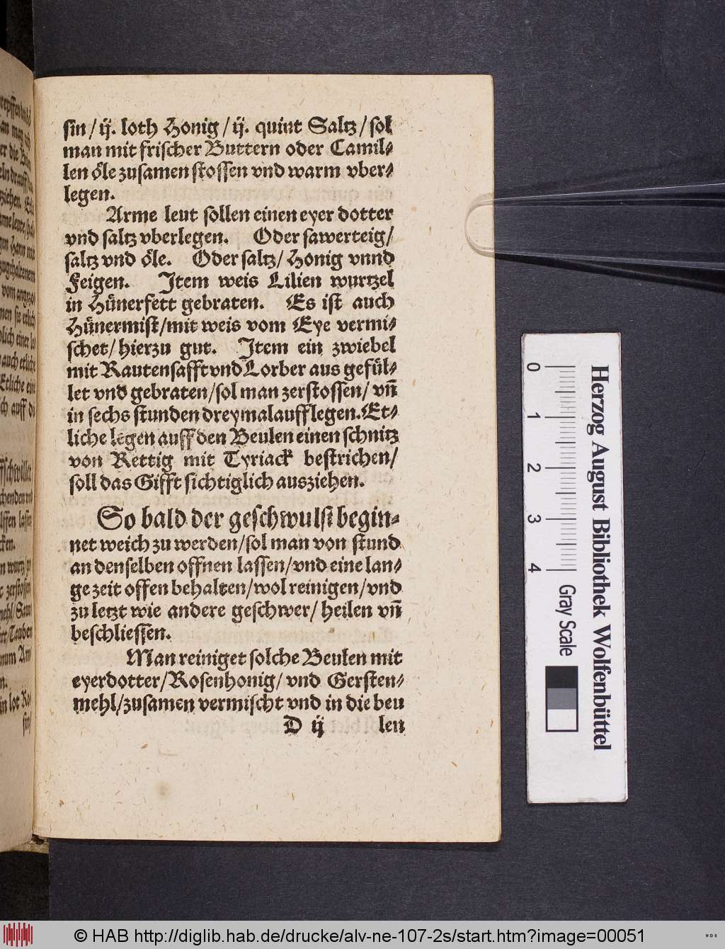 http://diglib.hab.de/drucke/alv-ne-107-2s/00051.jpg