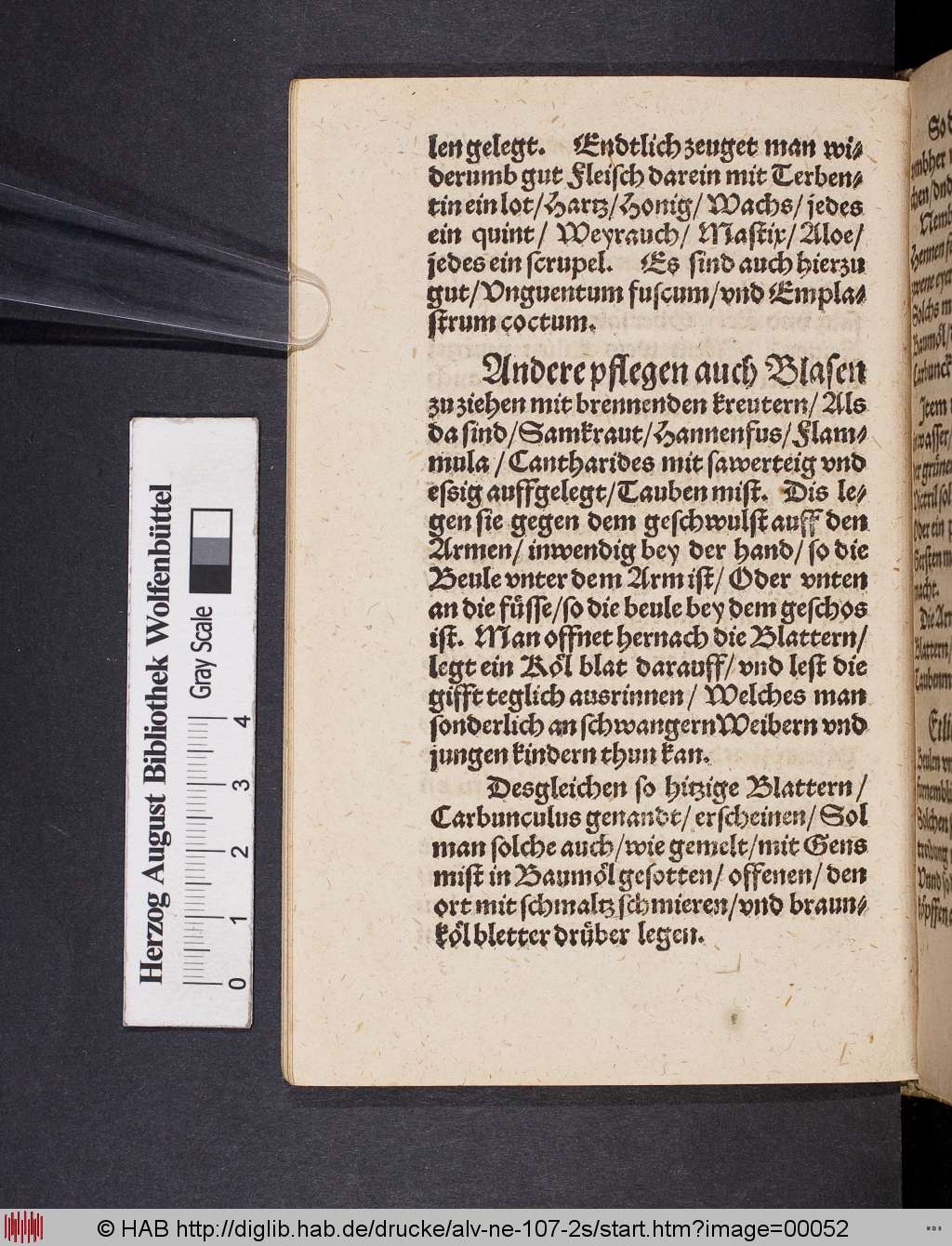 http://diglib.hab.de/drucke/alv-ne-107-2s/00052.jpg