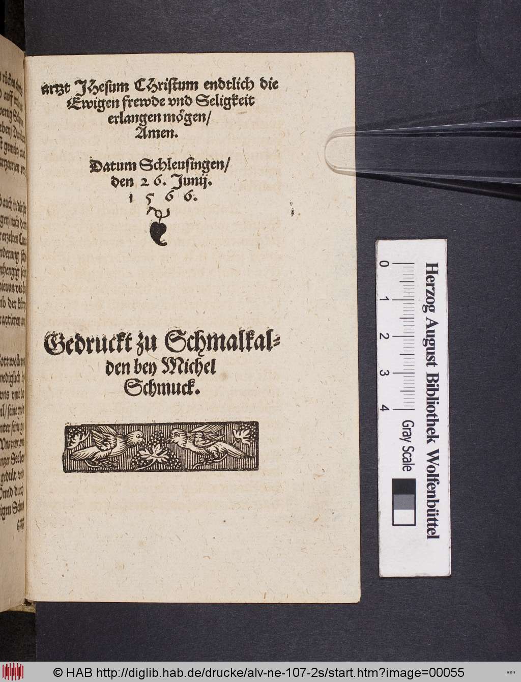 http://diglib.hab.de/drucke/alv-ne-107-2s/00055.jpg