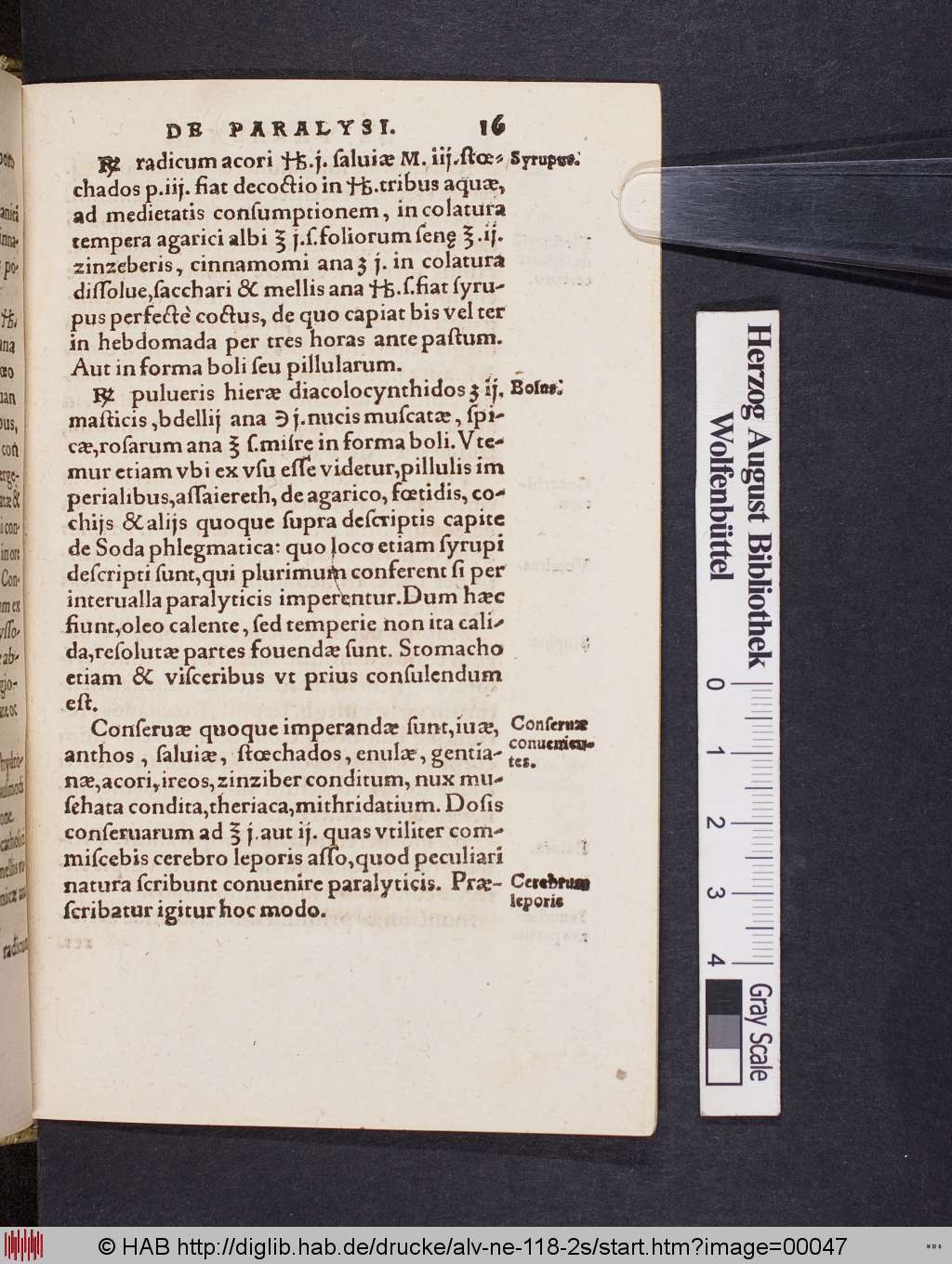 http://diglib.hab.de/drucke/alv-ne-118-2s/00047.jpg