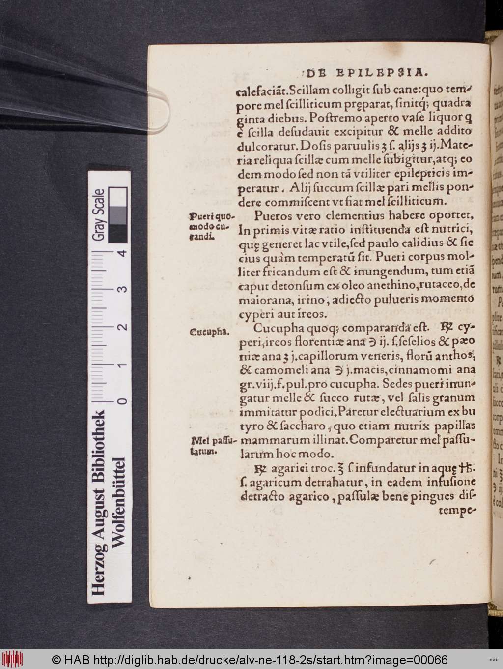 http://diglib.hab.de/drucke/alv-ne-118-2s/00066.jpg