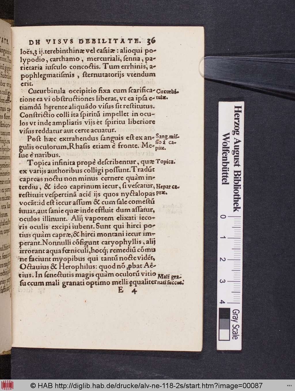 http://diglib.hab.de/drucke/alv-ne-118-2s/00087.jpg