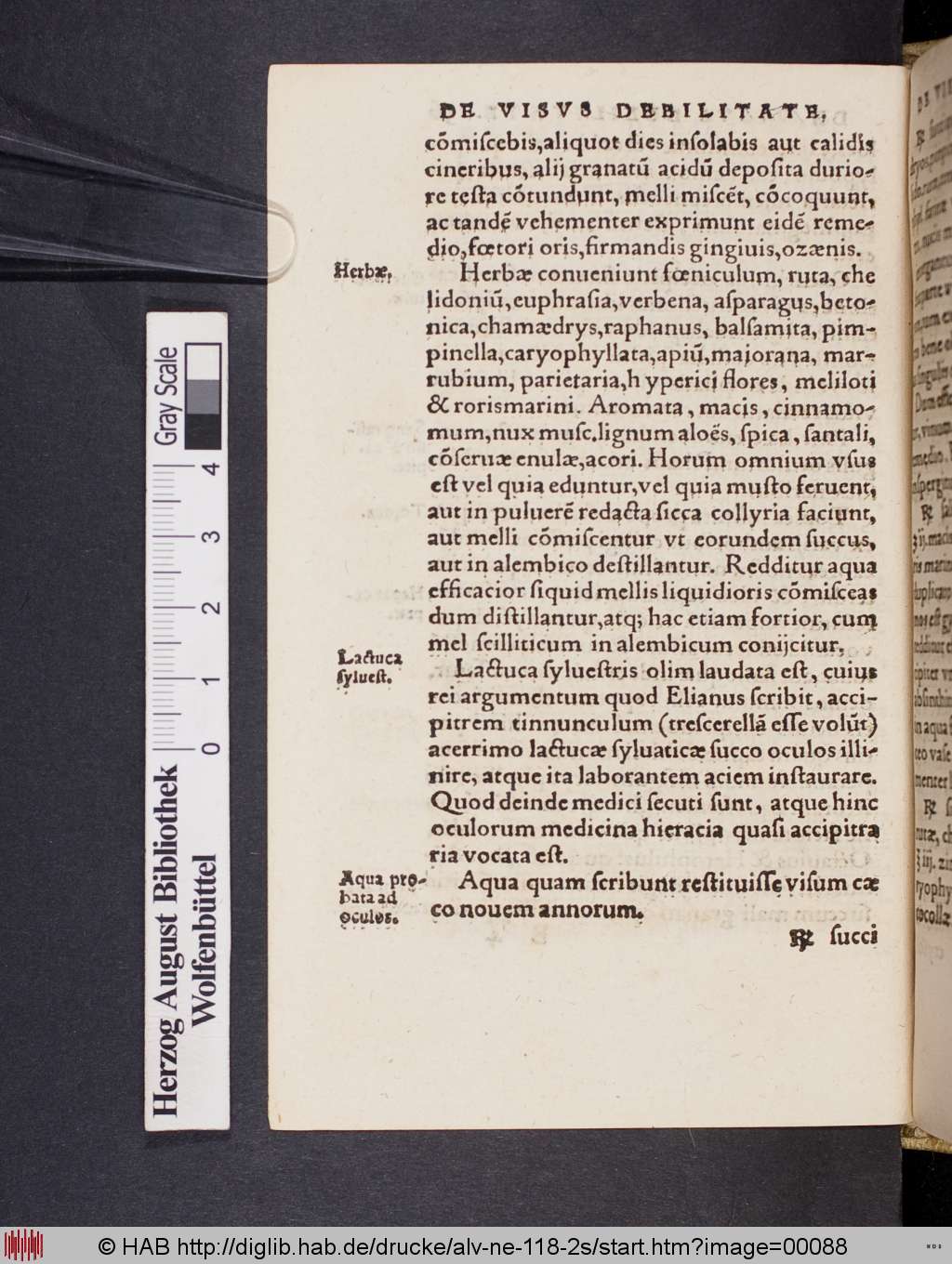 http://diglib.hab.de/drucke/alv-ne-118-2s/00088.jpg