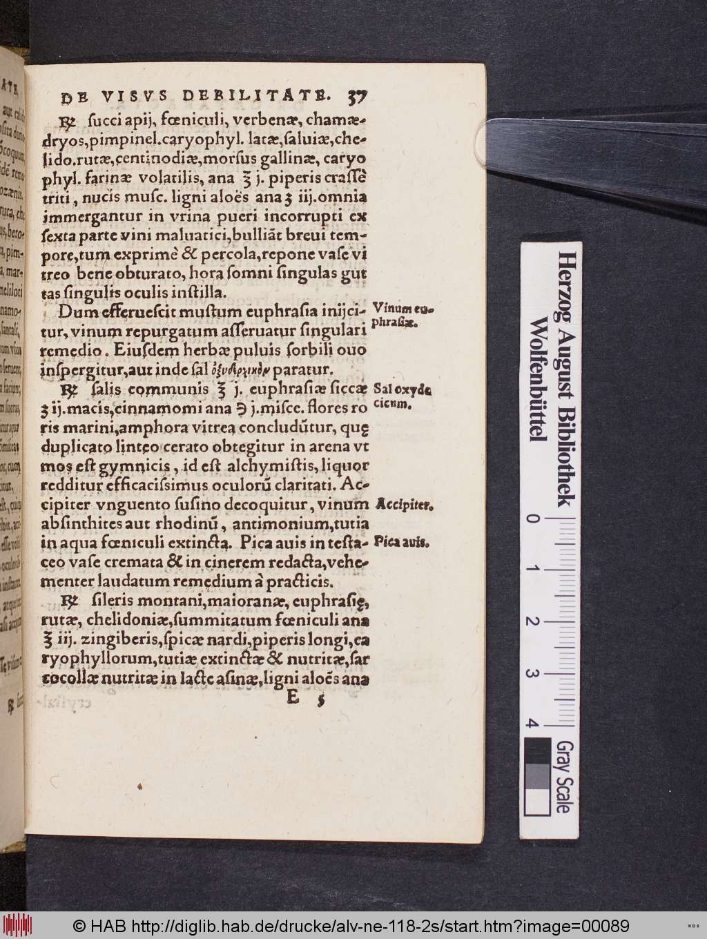 http://diglib.hab.de/drucke/alv-ne-118-2s/00089.jpg