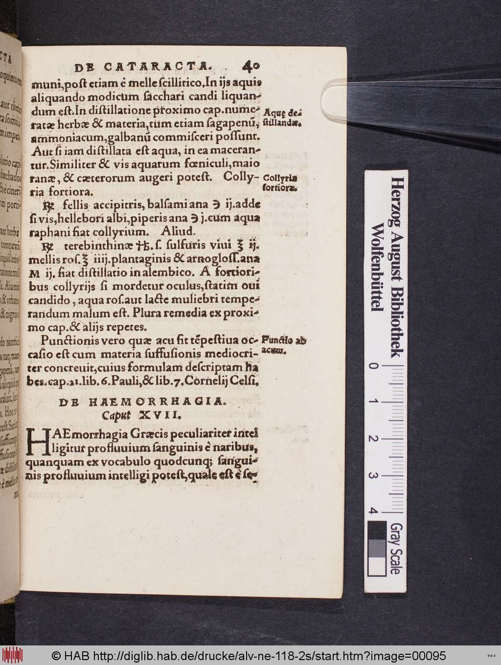 http://diglib.hab.de/drucke/alv-ne-118-2s/00095.jpg