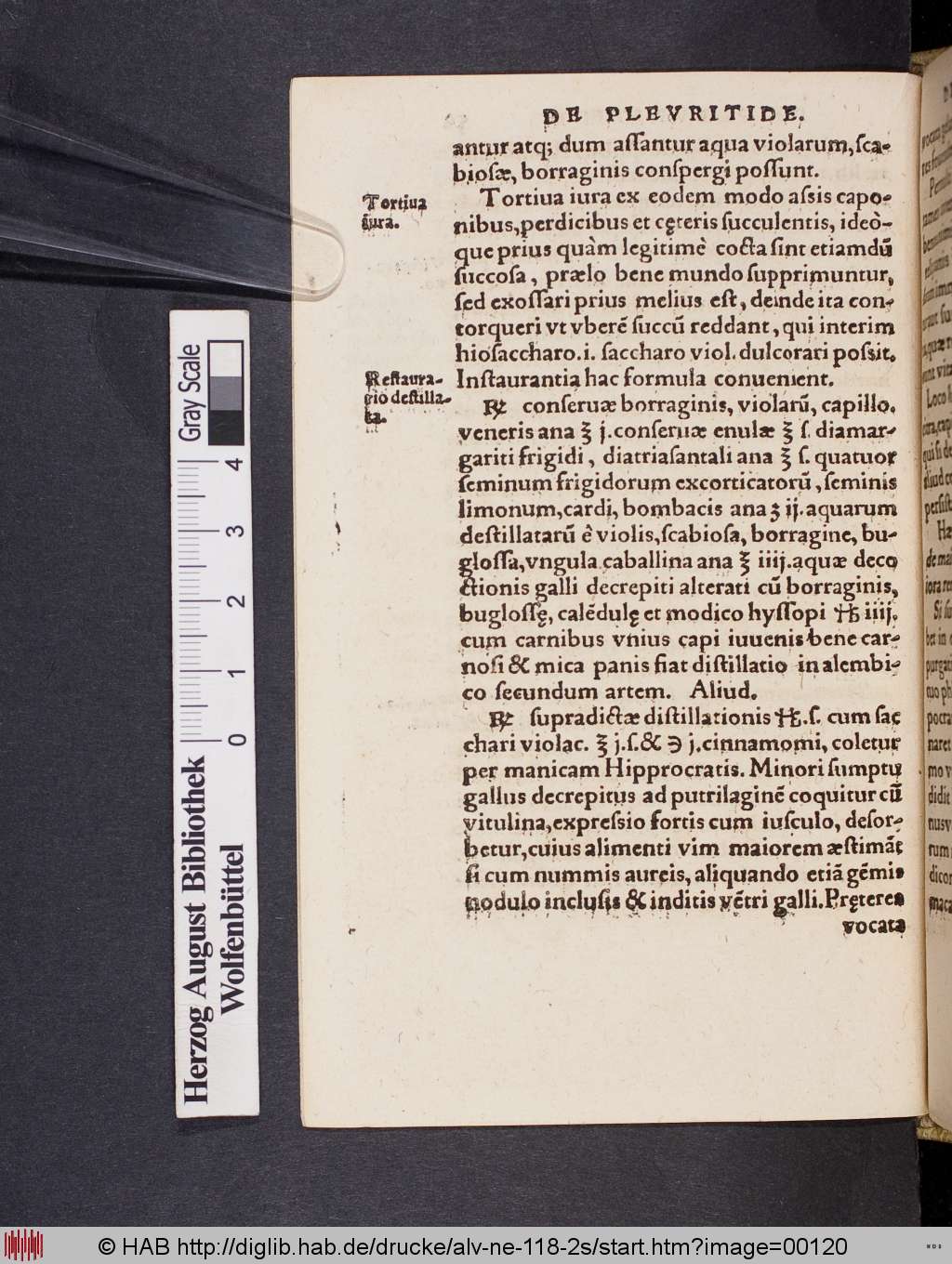 http://diglib.hab.de/drucke/alv-ne-118-2s/00120.jpg