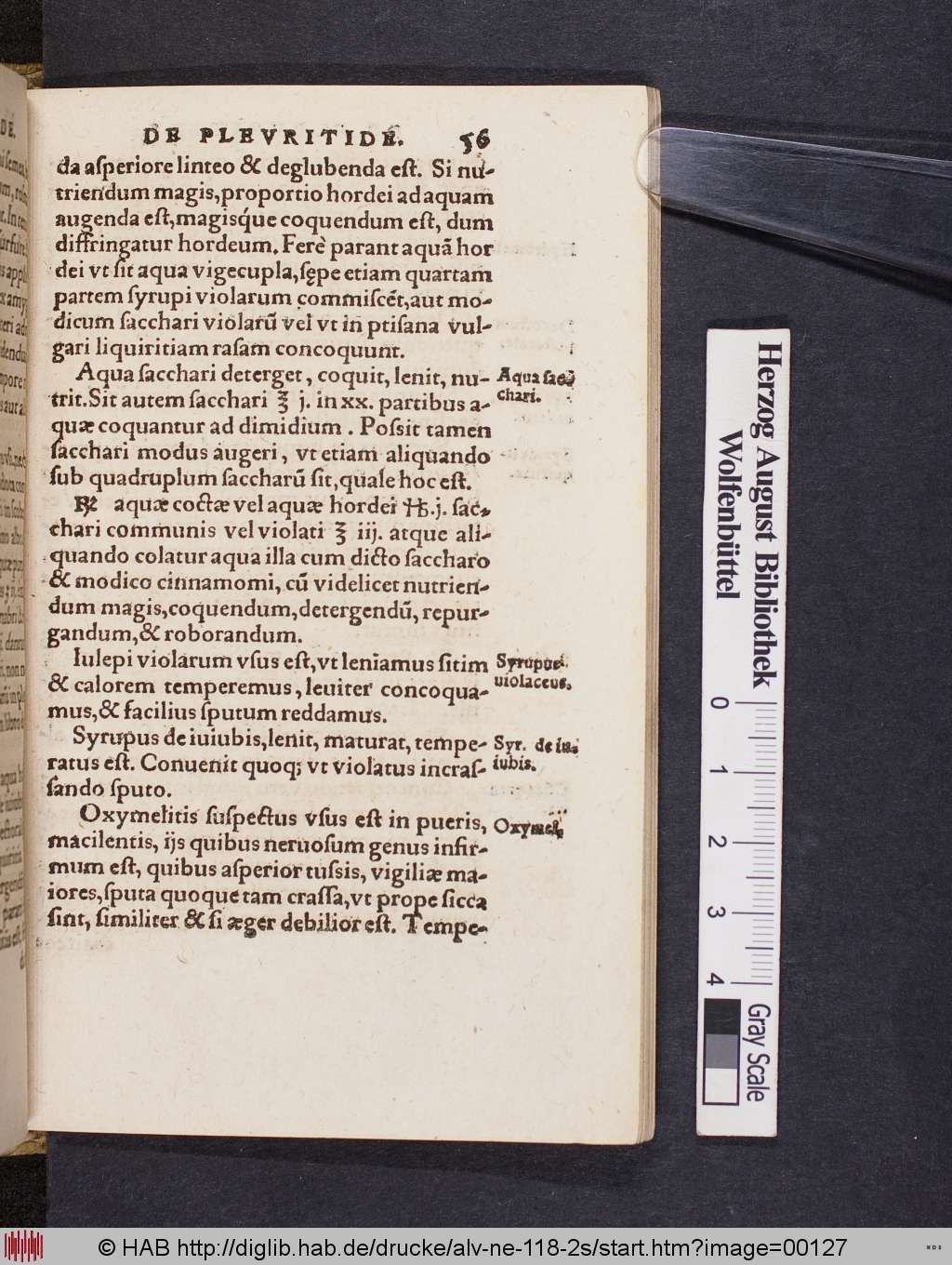 http://diglib.hab.de/drucke/alv-ne-118-2s/00127.jpg
