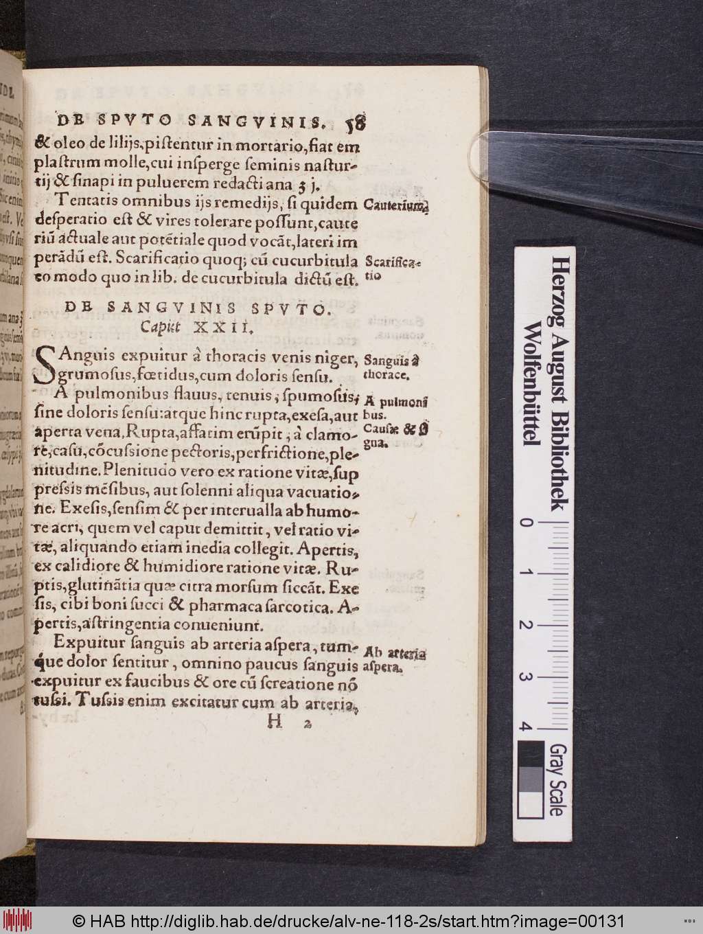 http://diglib.hab.de/drucke/alv-ne-118-2s/00131.jpg
