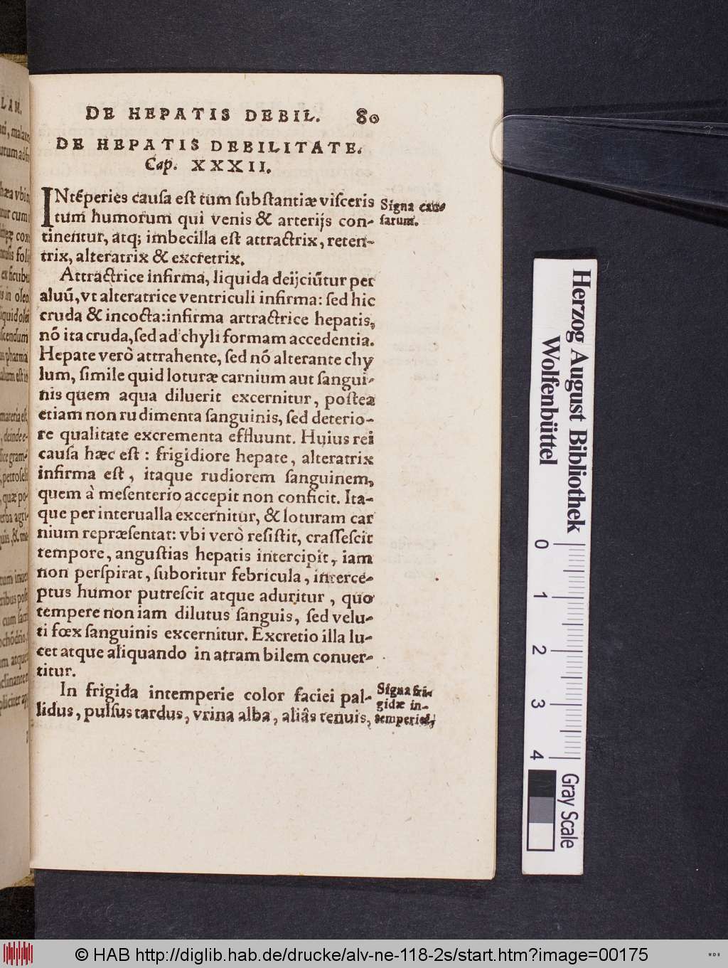 http://diglib.hab.de/drucke/alv-ne-118-2s/00175.jpg