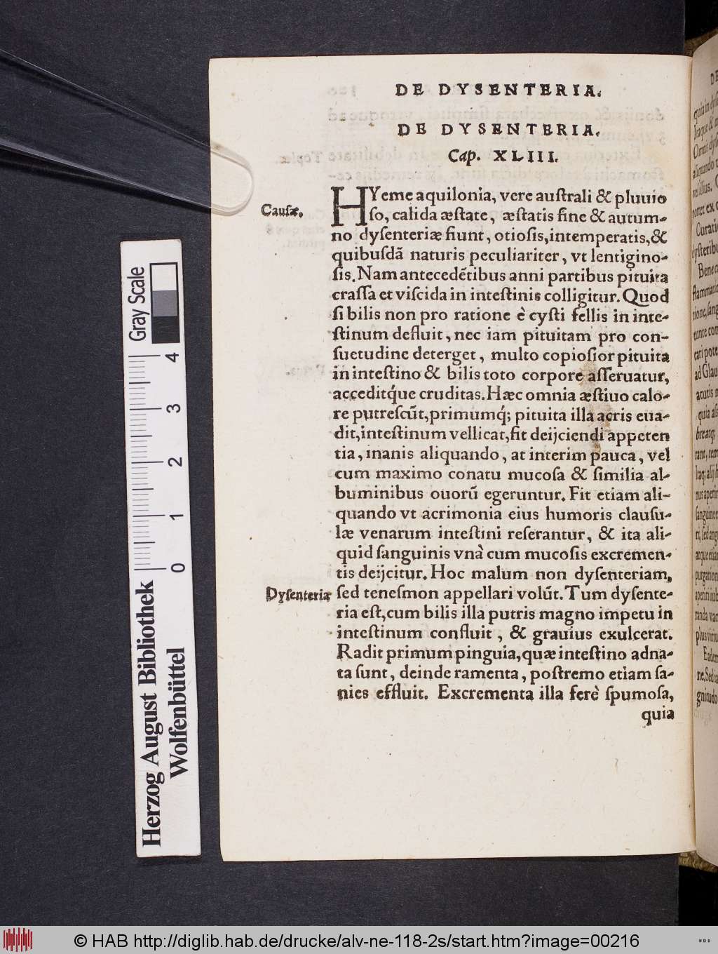 http://diglib.hab.de/drucke/alv-ne-118-2s/00216.jpg