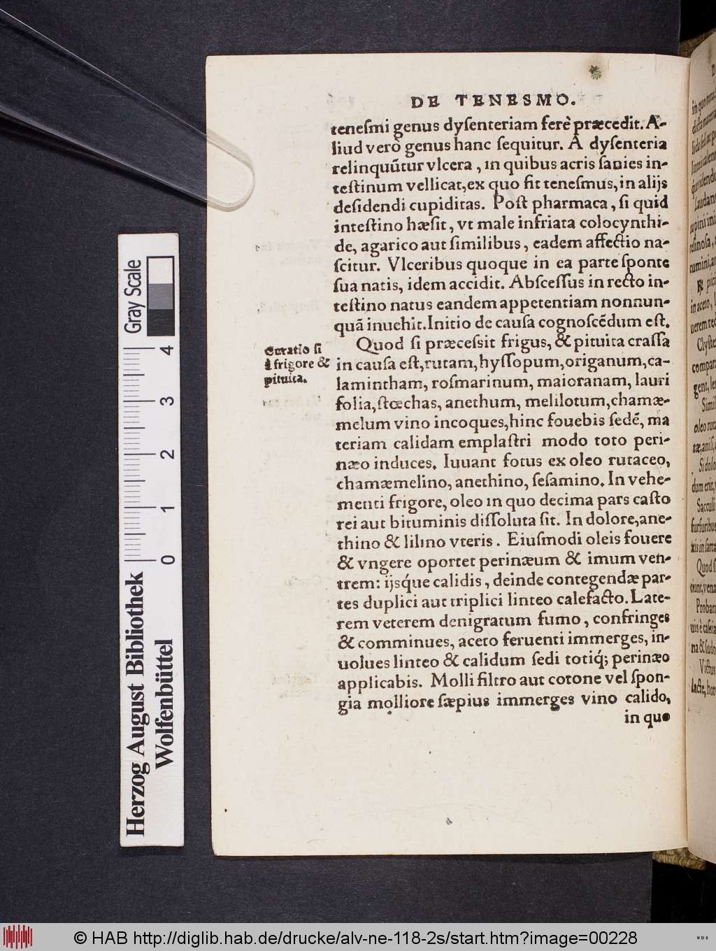 http://diglib.hab.de/drucke/alv-ne-118-2s/00228.jpg