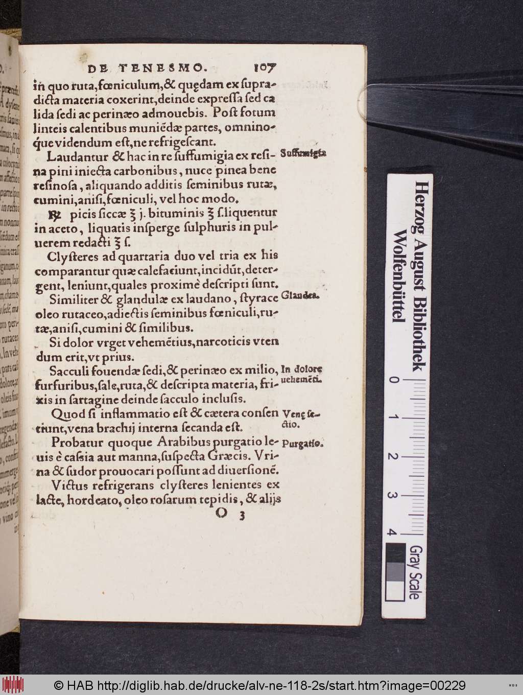 http://diglib.hab.de/drucke/alv-ne-118-2s/00229.jpg