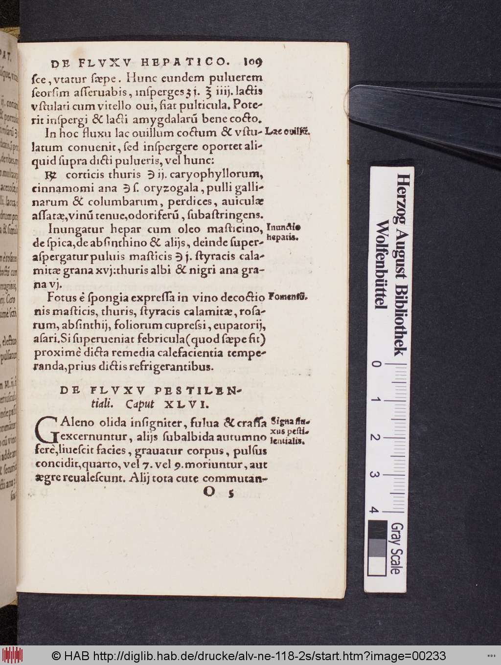 http://diglib.hab.de/drucke/alv-ne-118-2s/00233.jpg