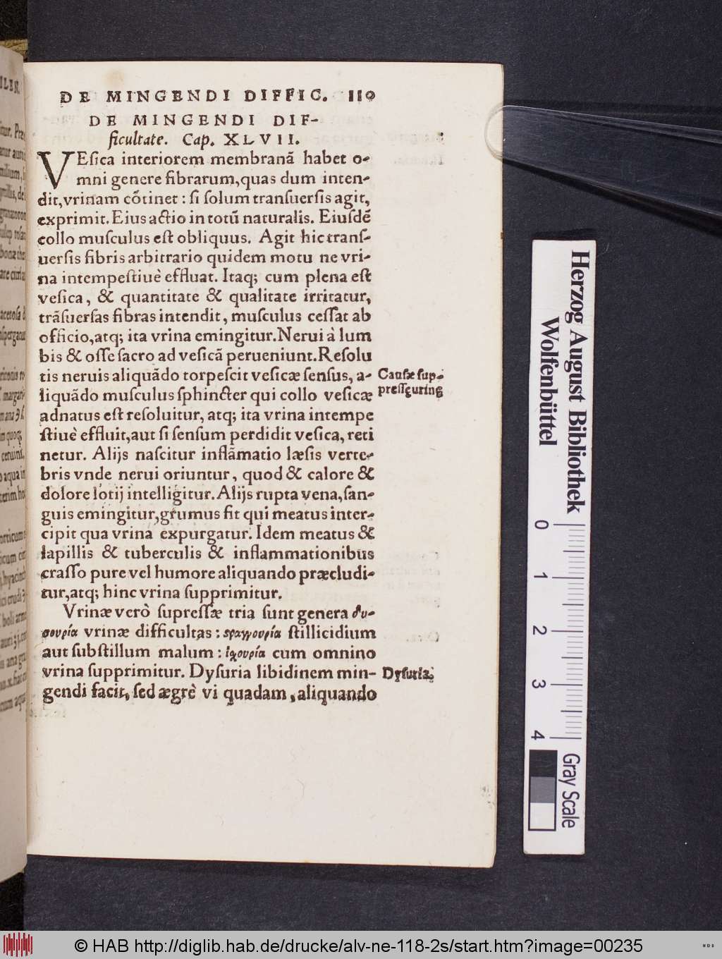 http://diglib.hab.de/drucke/alv-ne-118-2s/00235.jpg