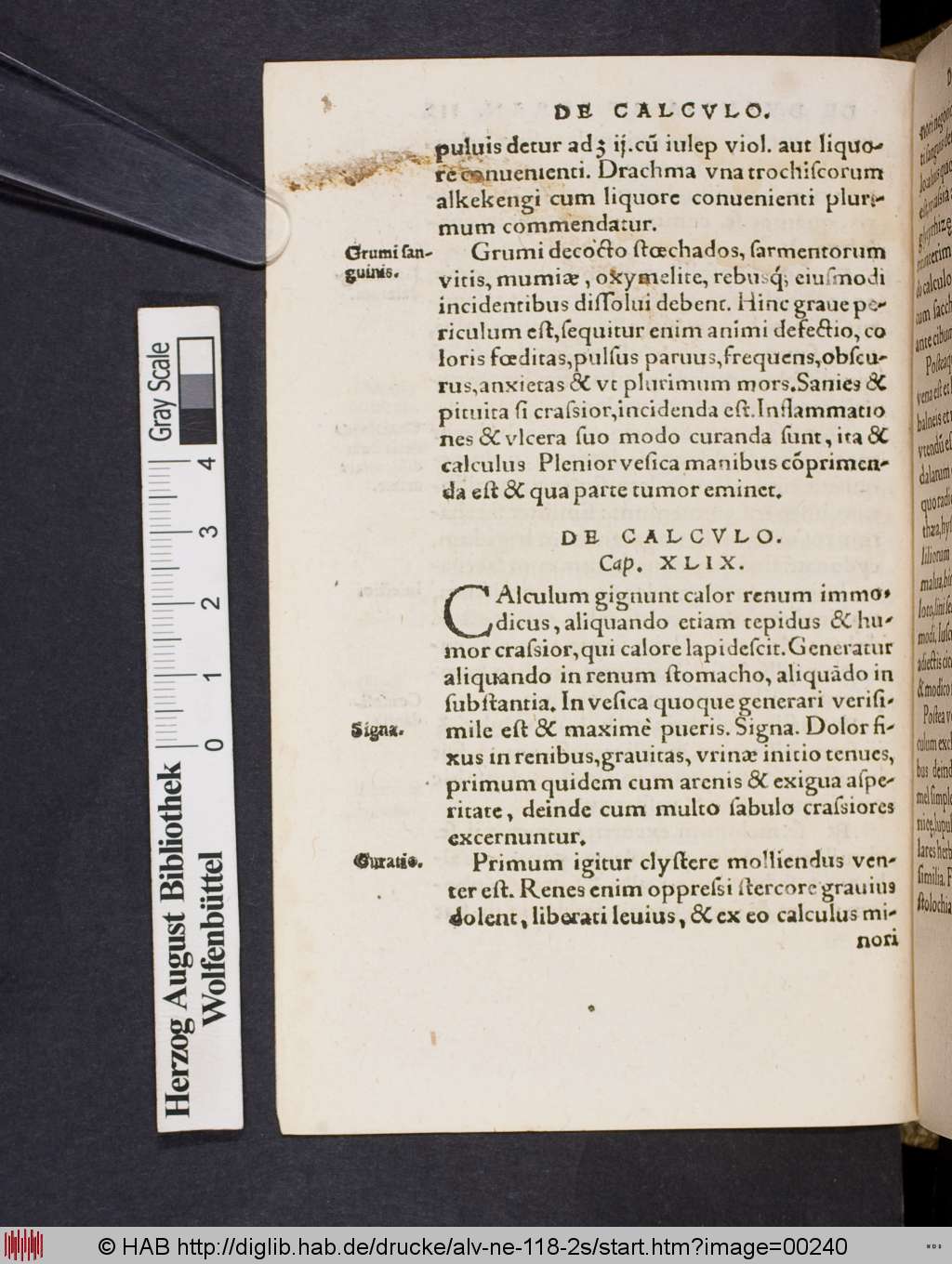 http://diglib.hab.de/drucke/alv-ne-118-2s/00240.jpg