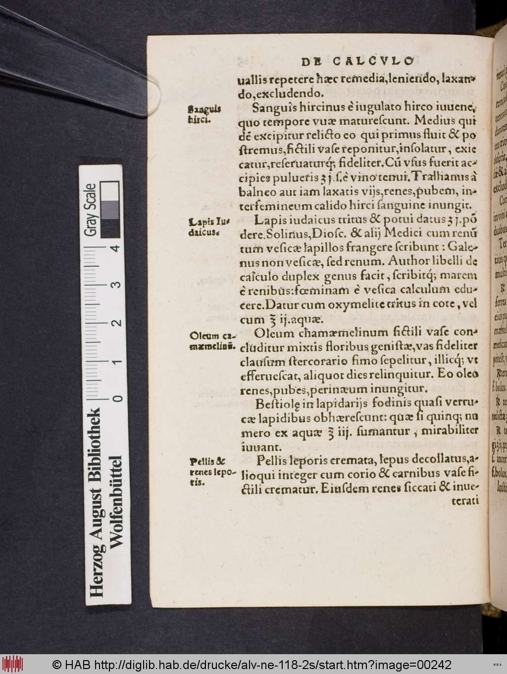 http://diglib.hab.de/drucke/alv-ne-118-2s/00242.jpg