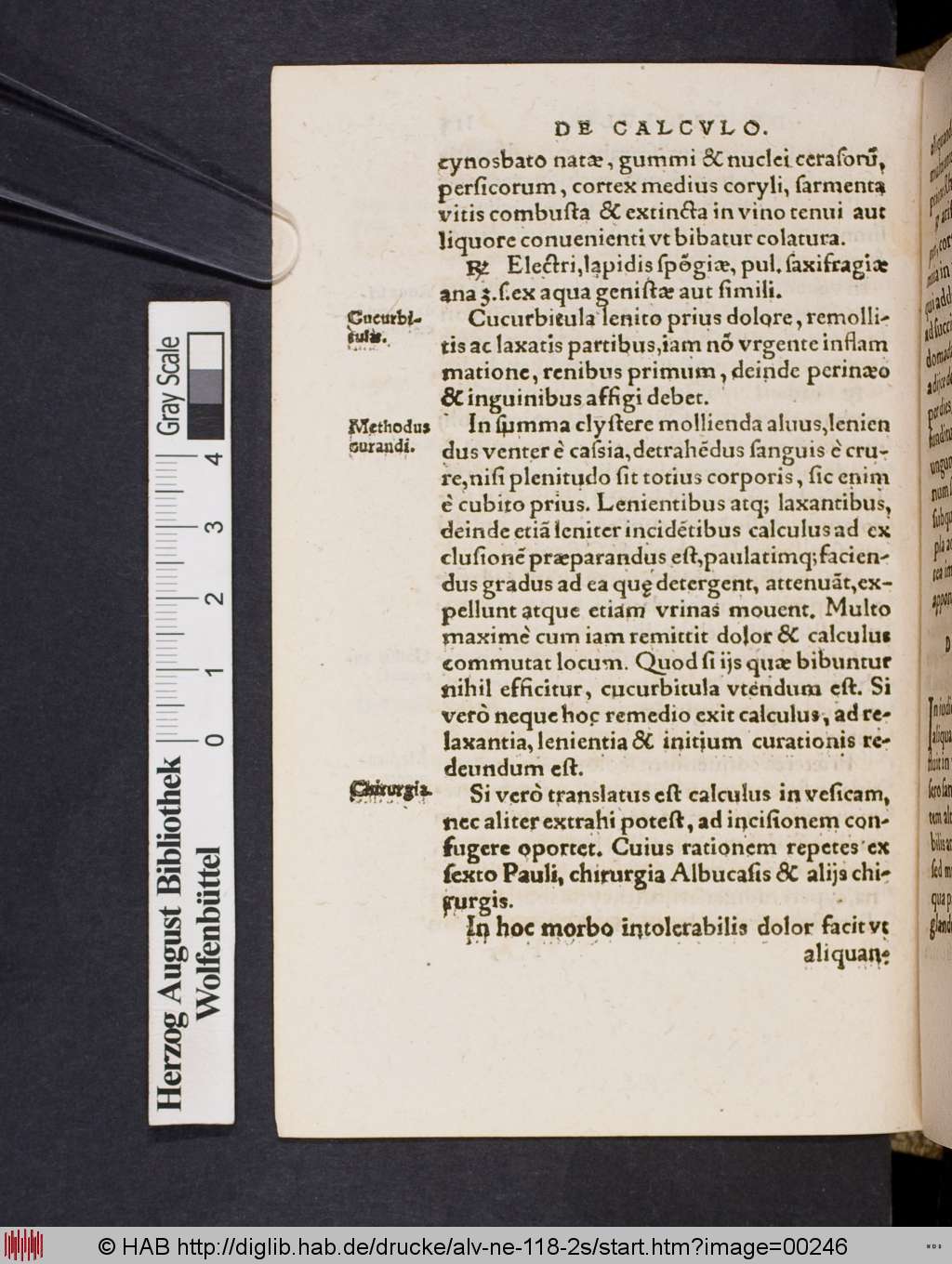 http://diglib.hab.de/drucke/alv-ne-118-2s/00246.jpg