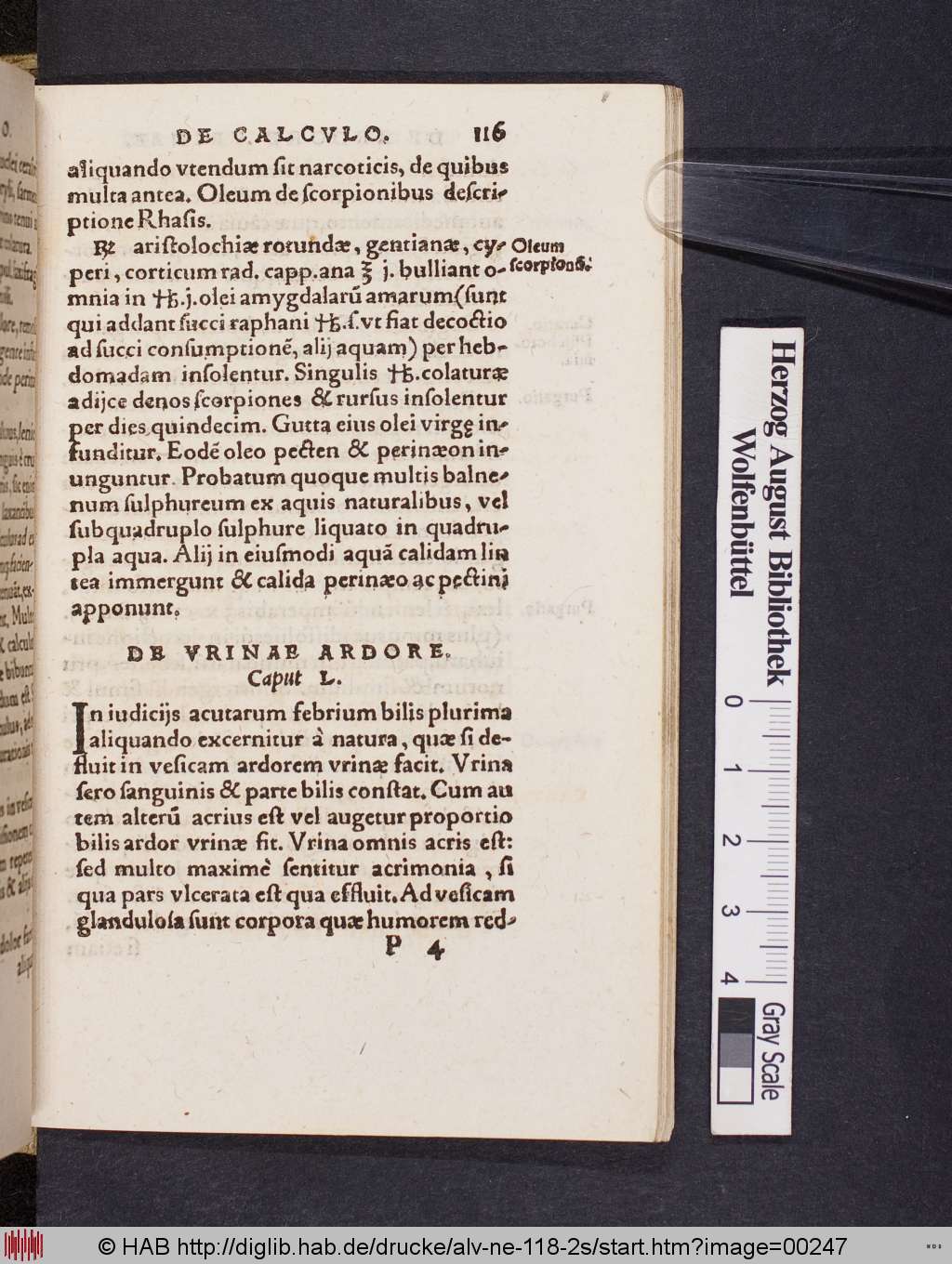 http://diglib.hab.de/drucke/alv-ne-118-2s/00247.jpg