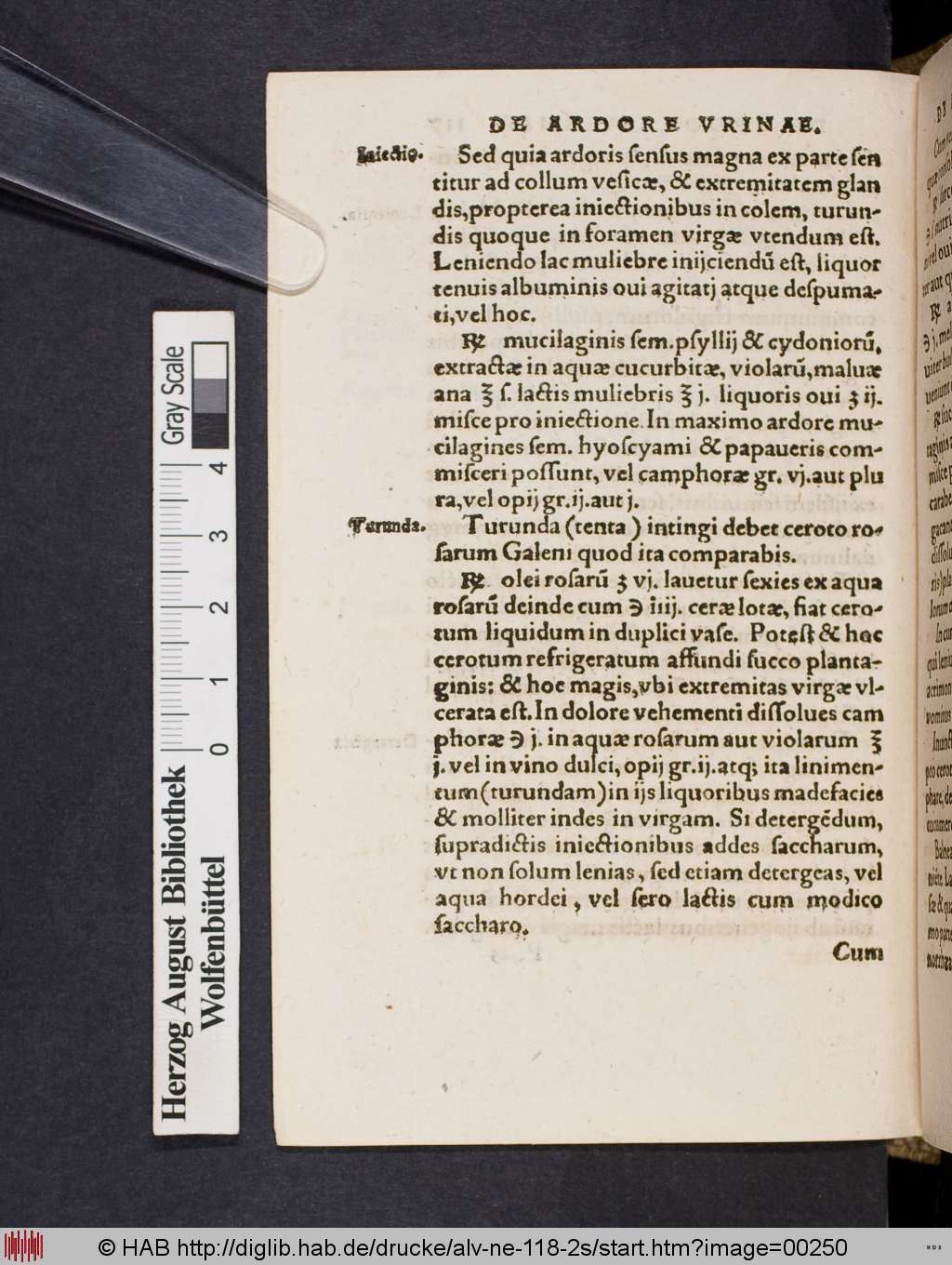 http://diglib.hab.de/drucke/alv-ne-118-2s/00250.jpg