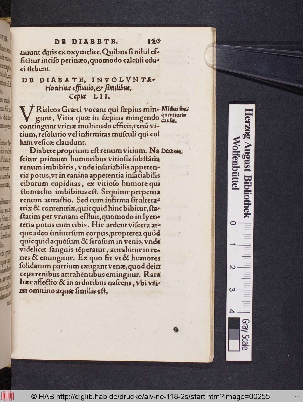 http://diglib.hab.de/drucke/alv-ne-118-2s/00255.jpg