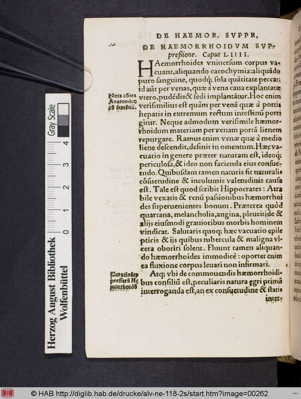 http://diglib.hab.de/drucke/alv-ne-118-2s/00262.jpg