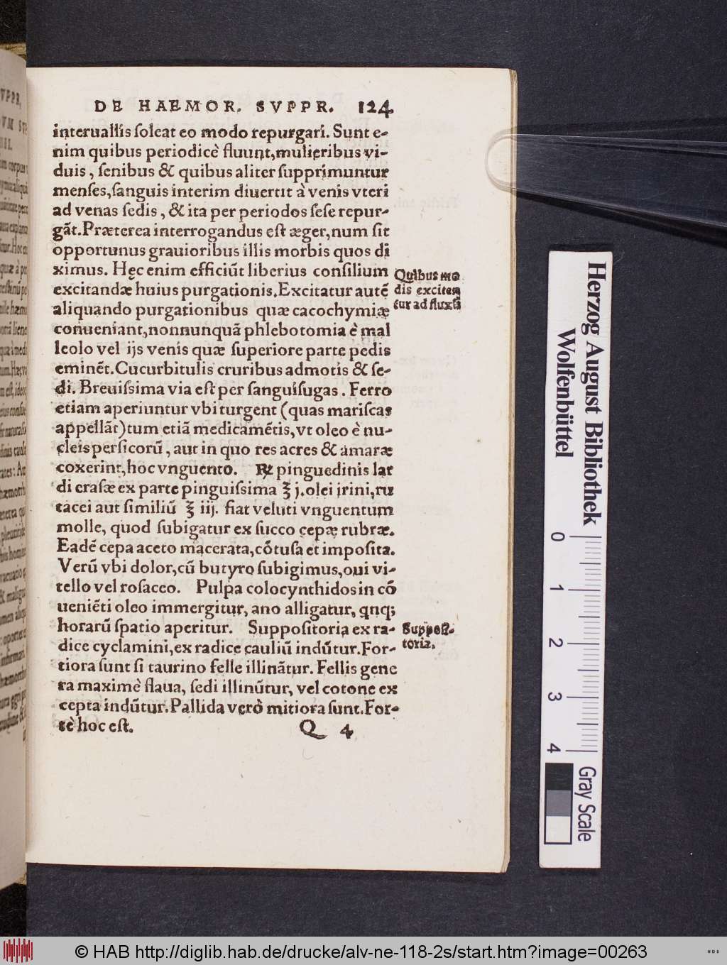 http://diglib.hab.de/drucke/alv-ne-118-2s/00263.jpg