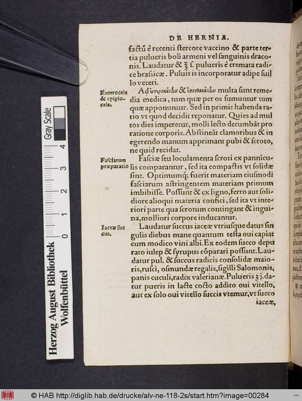 http://diglib.hab.de/drucke/alv-ne-118-2s/00284.jpg