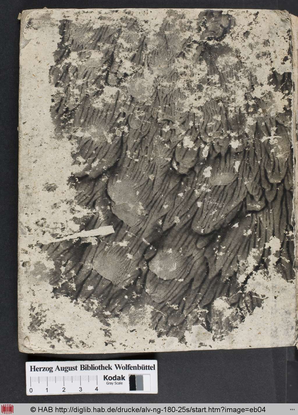 http://diglib.hab.de/drucke/alv-ng-180-25s/eb04.jpg