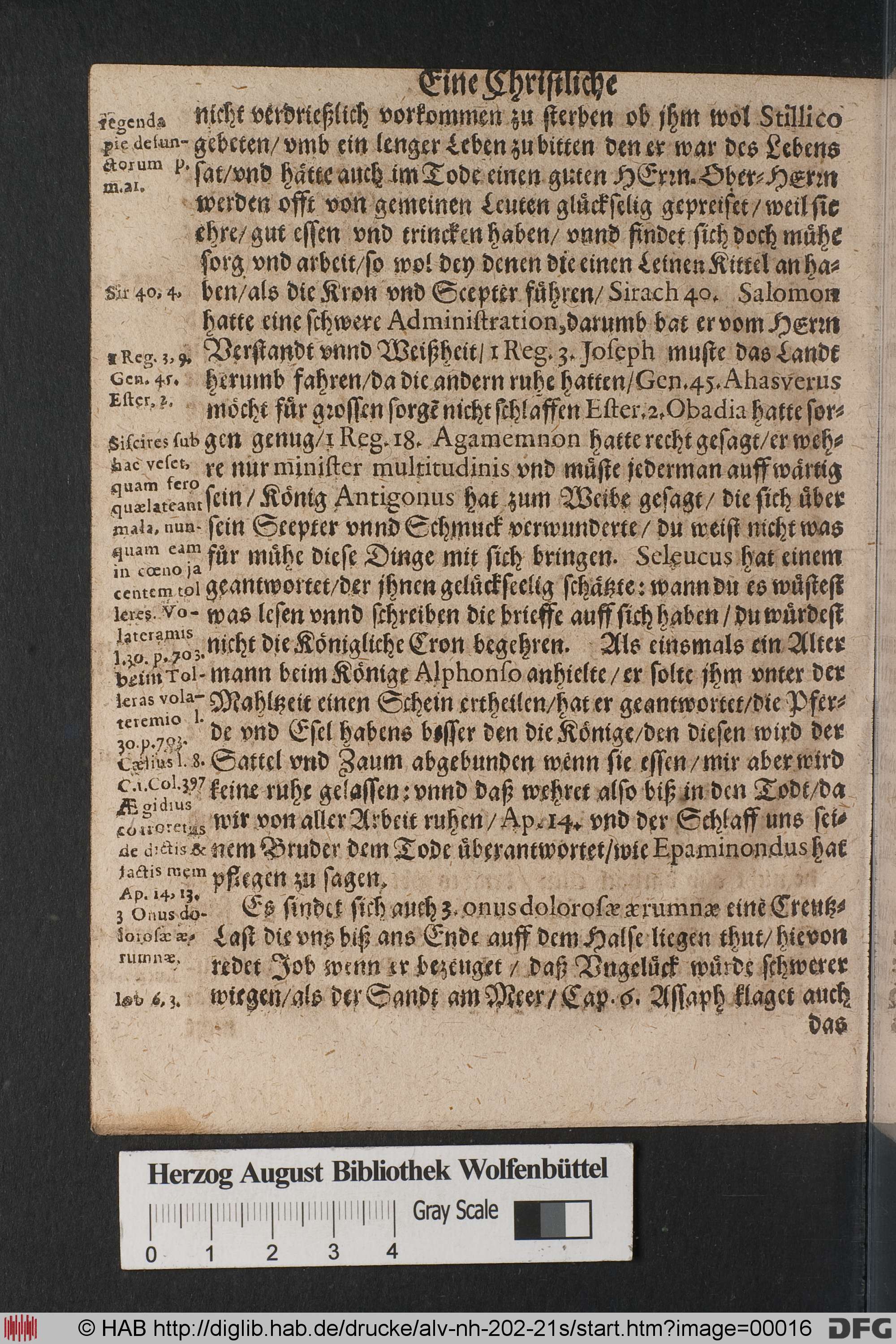 http://diglib.hab.de/drucke/alv-nh-202-21s/max/00016.jpg
