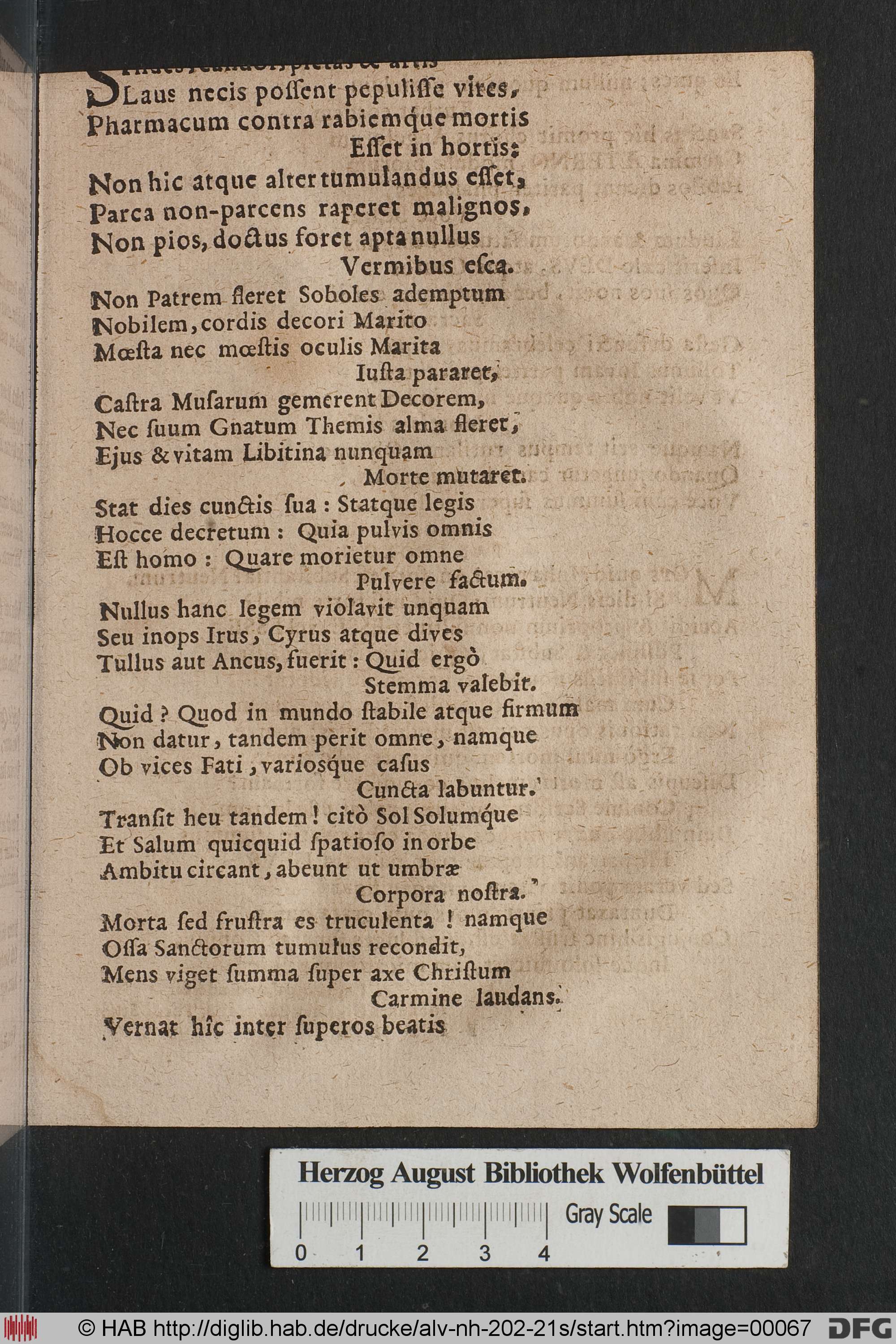 http://diglib.hab.de/drucke/alv-nh-202-21s/max/00067.jpg