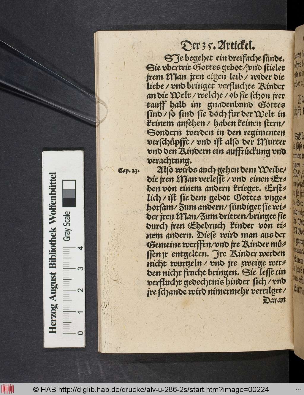 http://diglib.hab.de/drucke/alv-u-286-2s/00224.jpg