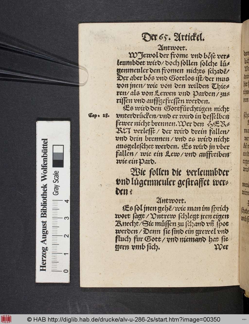 http://diglib.hab.de/drucke/alv-u-286-2s/00350.jpg