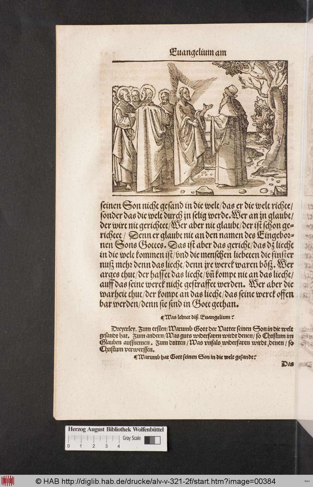 http://diglib.hab.de/drucke/alv-v-321-2f/00384.jpg