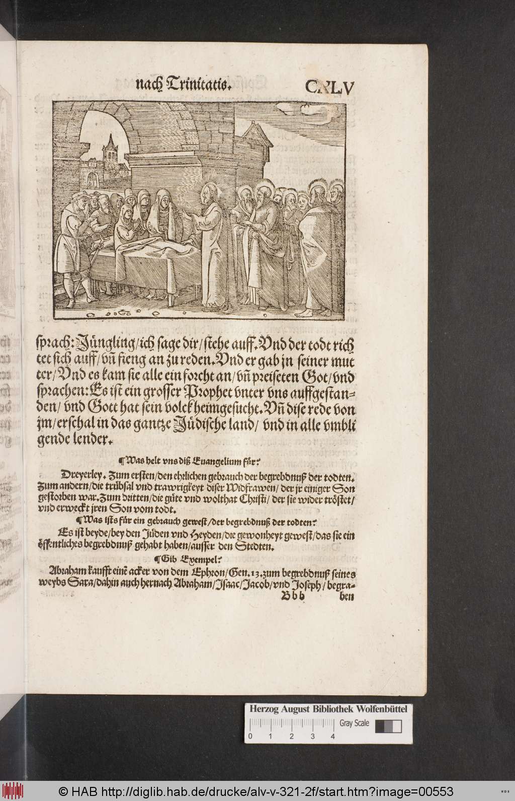 http://diglib.hab.de/drucke/alv-v-321-2f/00553.jpg