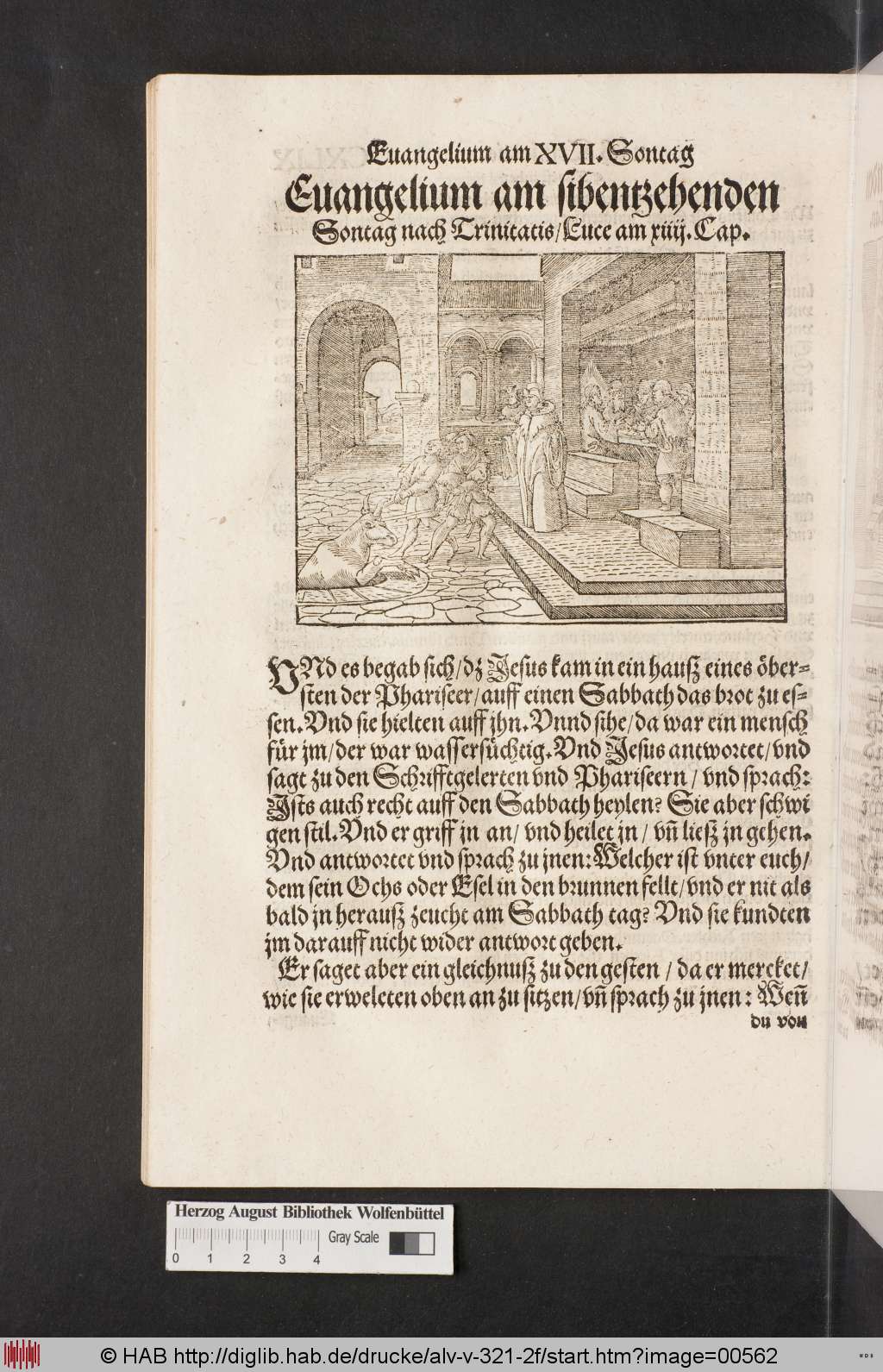 http://diglib.hab.de/drucke/alv-v-321-2f/00562.jpg