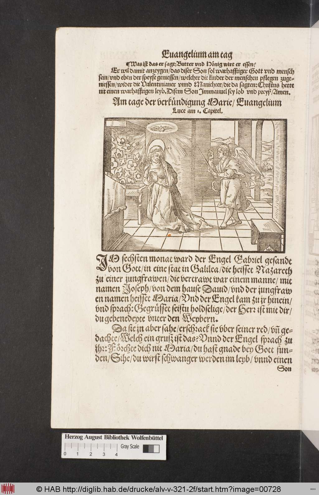 http://diglib.hab.de/drucke/alv-v-321-2f/00728.jpg