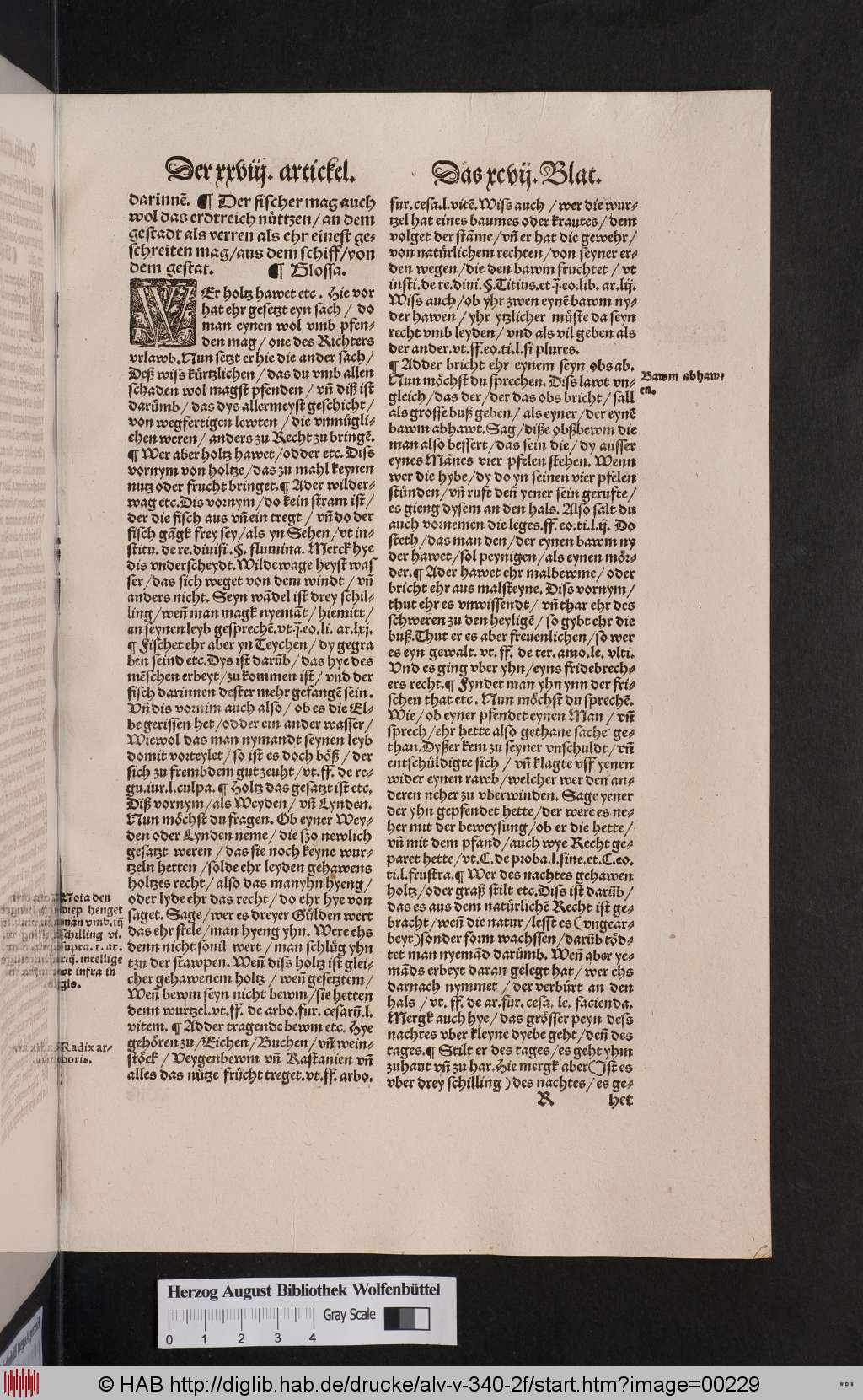 http://diglib.hab.de/drucke/alv-v-340-2f/00229.jpg