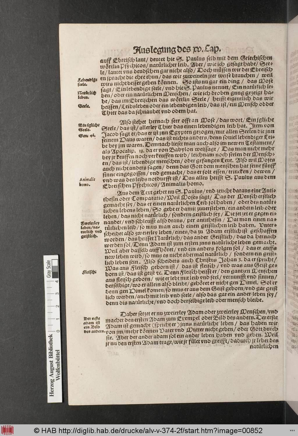 http://diglib.hab.de/drucke/alv-v-374-2f/00852.jpg