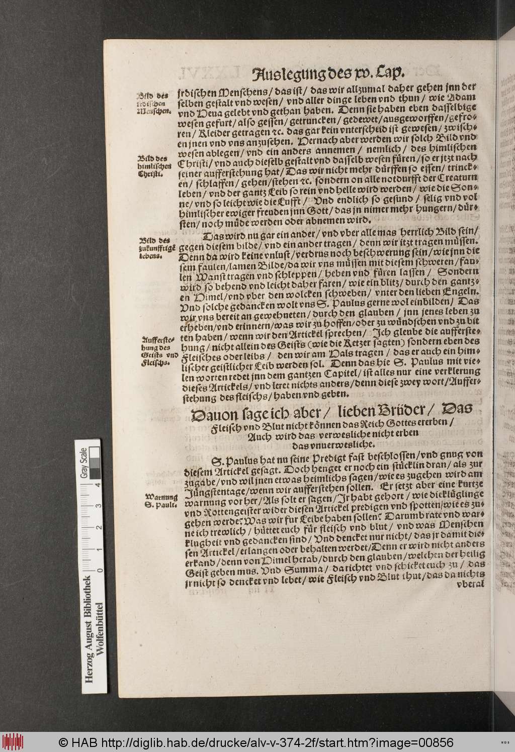 http://diglib.hab.de/drucke/alv-v-374-2f/00856.jpg
