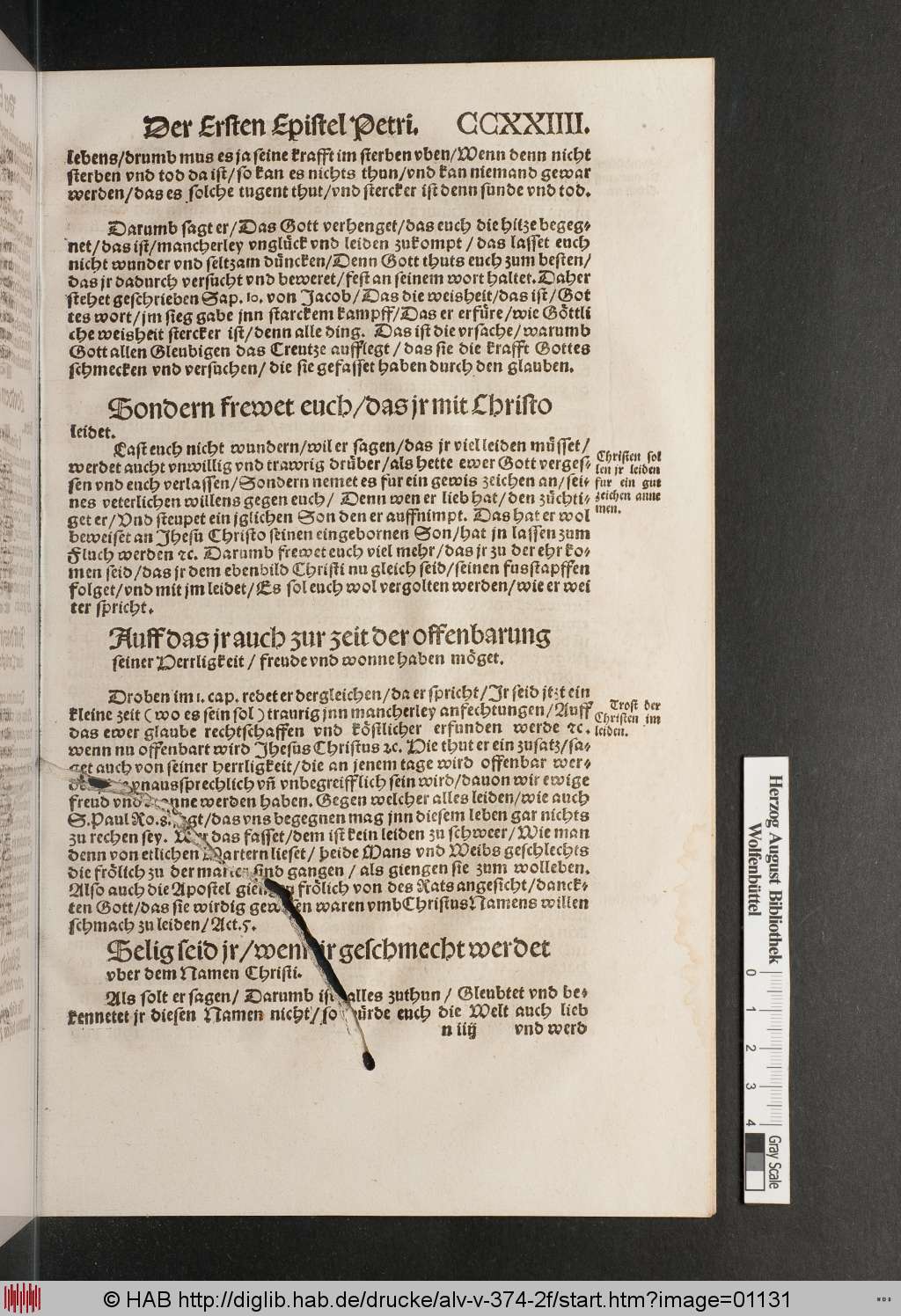 http://diglib.hab.de/drucke/alv-v-374-2f/01131.jpg