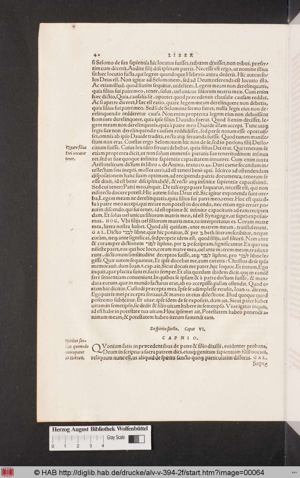 http://diglib.hab.de/drucke/alv-v-394-2f/00064.jpg