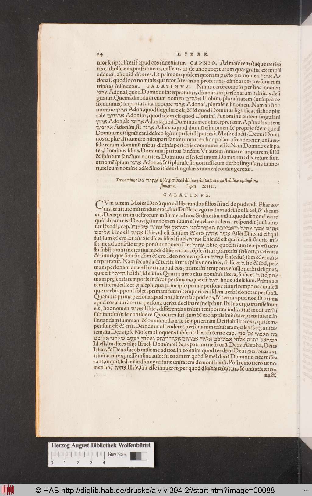 http://diglib.hab.de/drucke/alv-v-394-2f/00088.jpg