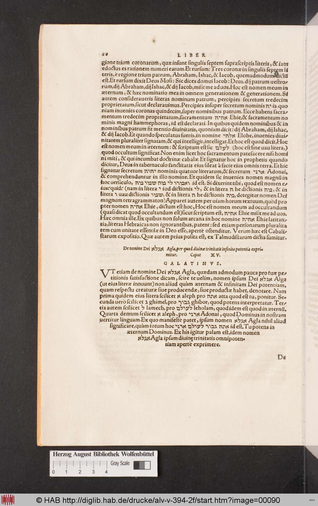 http://diglib.hab.de/drucke/alv-v-394-2f/00090.jpg