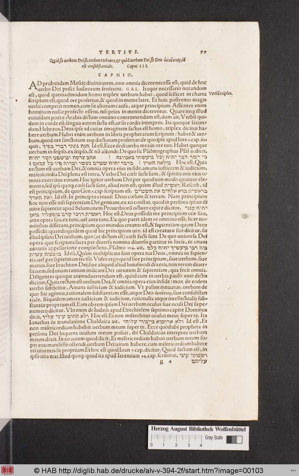 http://diglib.hab.de/drucke/alv-v-394-2f/00103.jpg