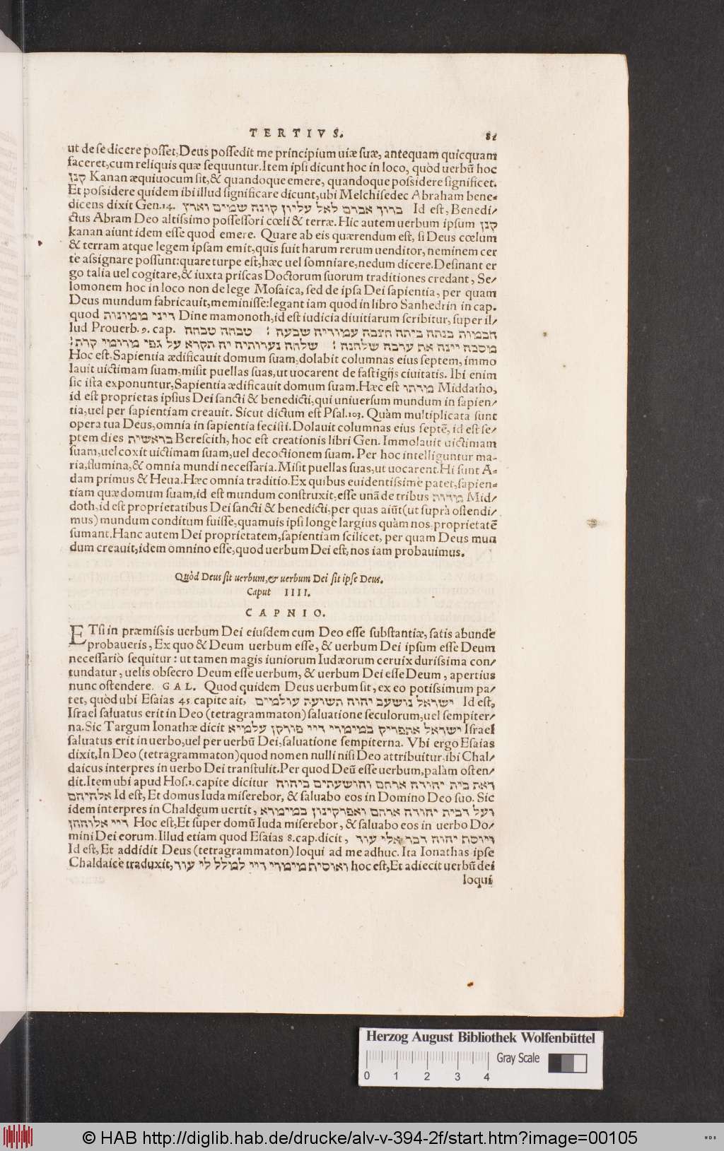 http://diglib.hab.de/drucke/alv-v-394-2f/00105.jpg
