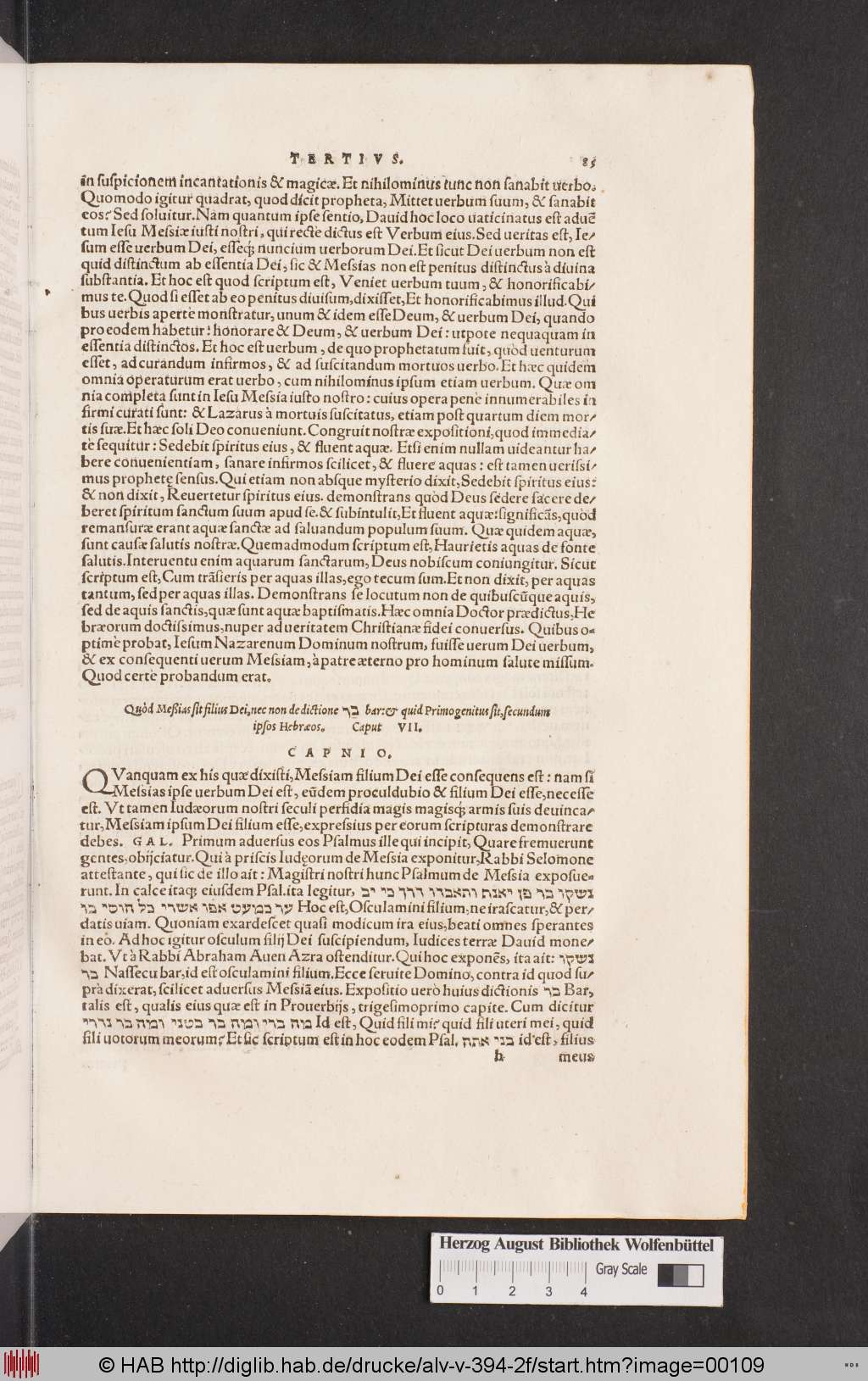 http://diglib.hab.de/drucke/alv-v-394-2f/00109.jpg