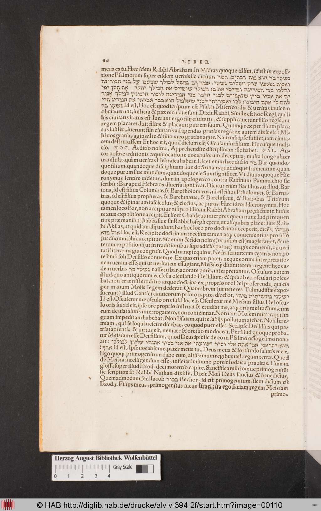http://diglib.hab.de/drucke/alv-v-394-2f/00110.jpg
