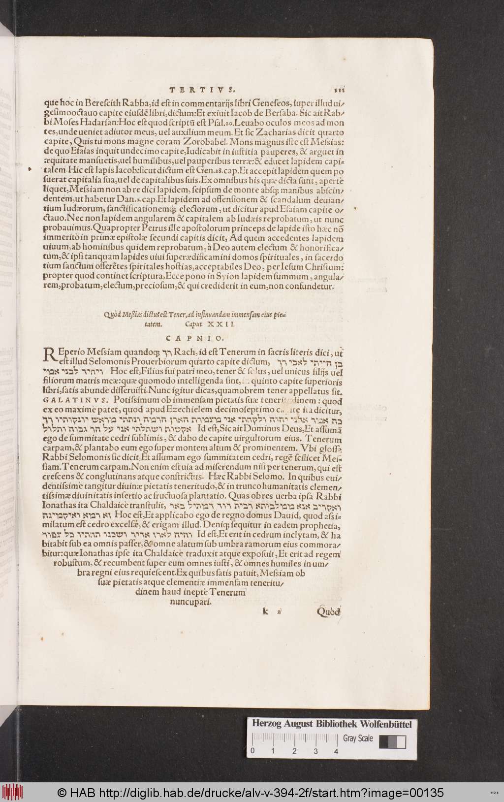 http://diglib.hab.de/drucke/alv-v-394-2f/00135.jpg